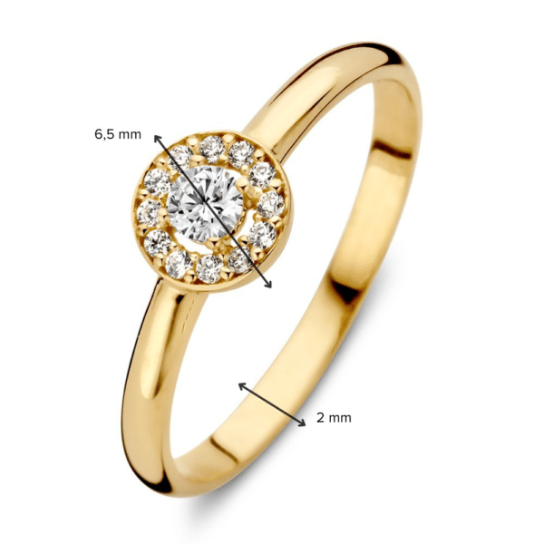 Excellent ring geelgoud zirkonia - RE127744