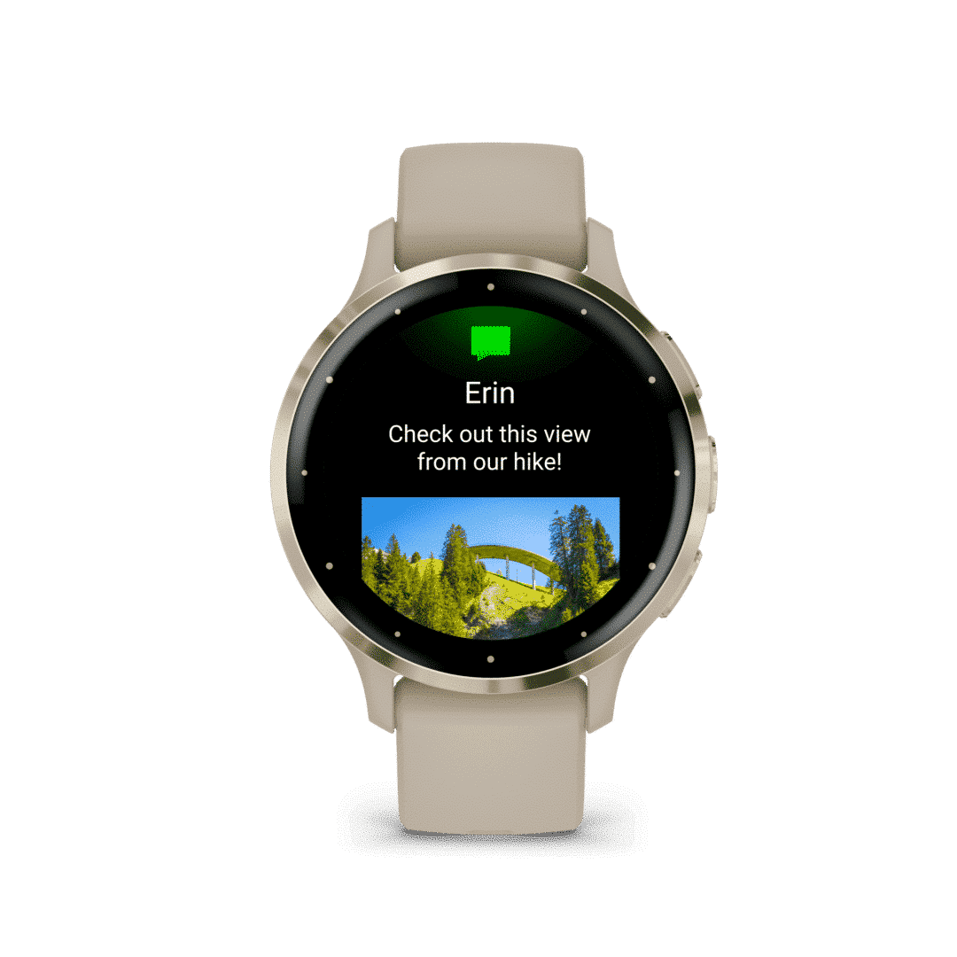 Garmin Venu 3S French Gray Silicone 010 02785 02