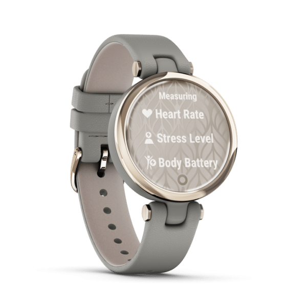Garmin Lily classic - 010-02384-B2