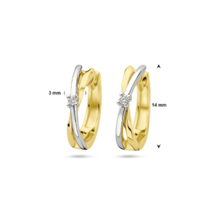 klapoorringen diamant 0.03ct (2x 0.015ct) - 4208959