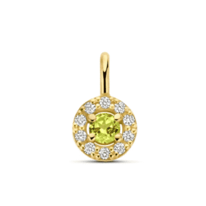 Geelgoud Milestone Halo Augustus met collier 1.0mm - 11488/11006