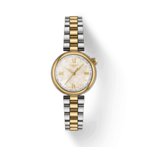Tissot Desir - T1520102211801